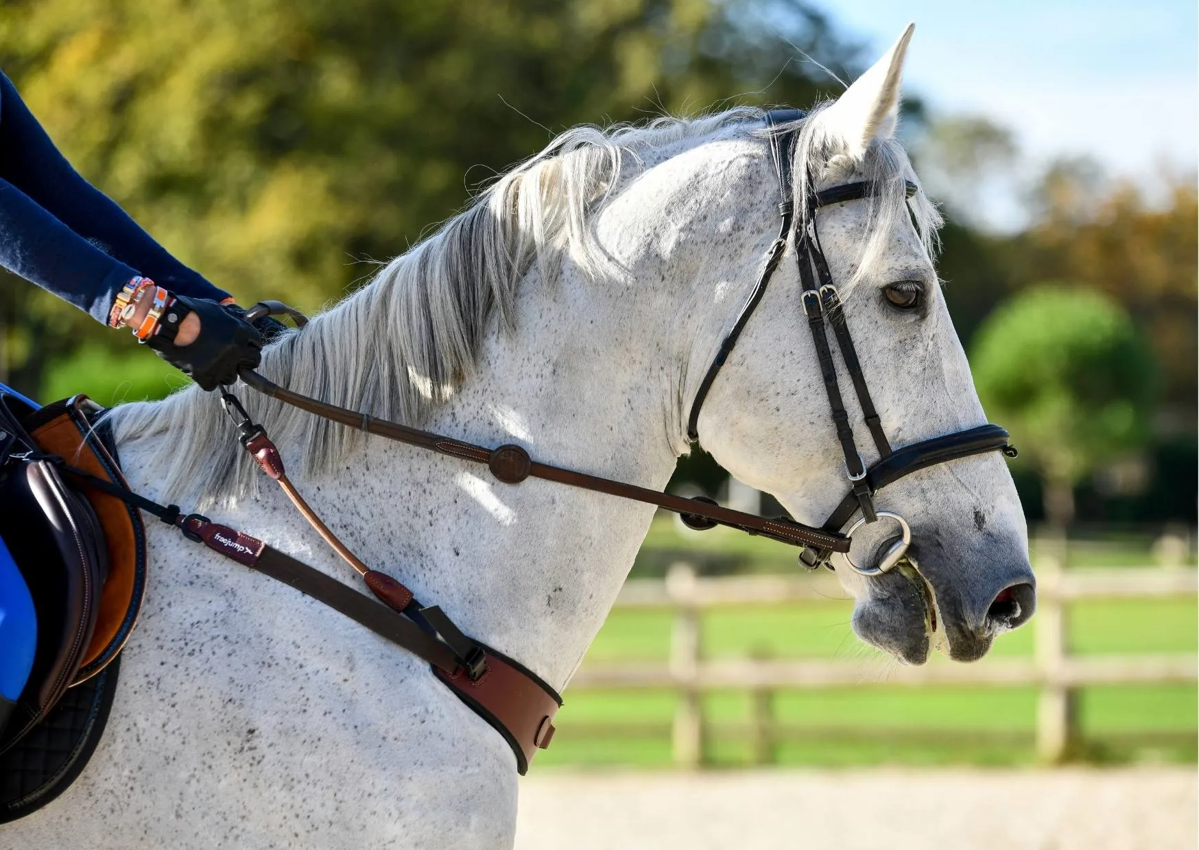 Freejump Collar