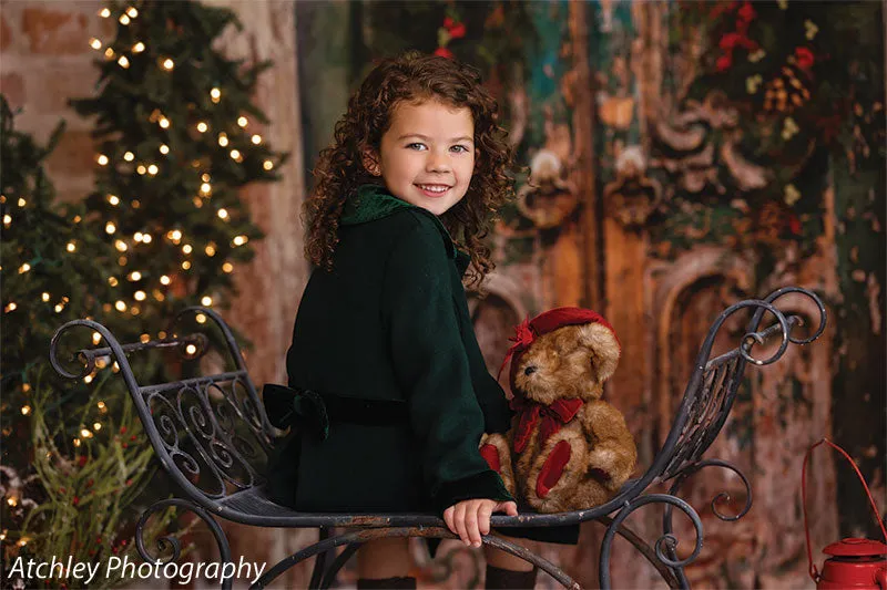 Holiday Door Photography Backdrop