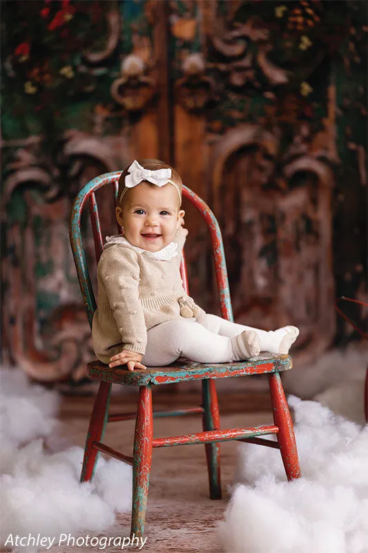 Holiday Door Photography Backdrop