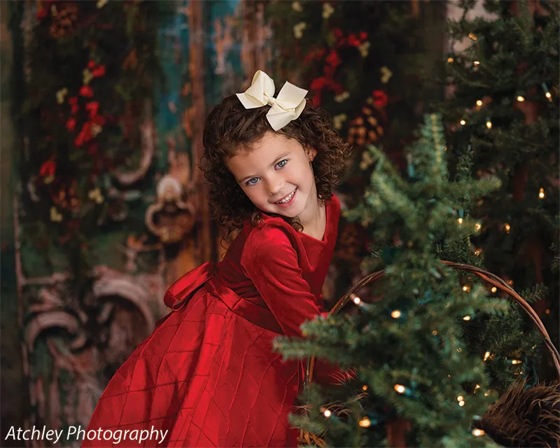 Holiday Door Photography Backdrop