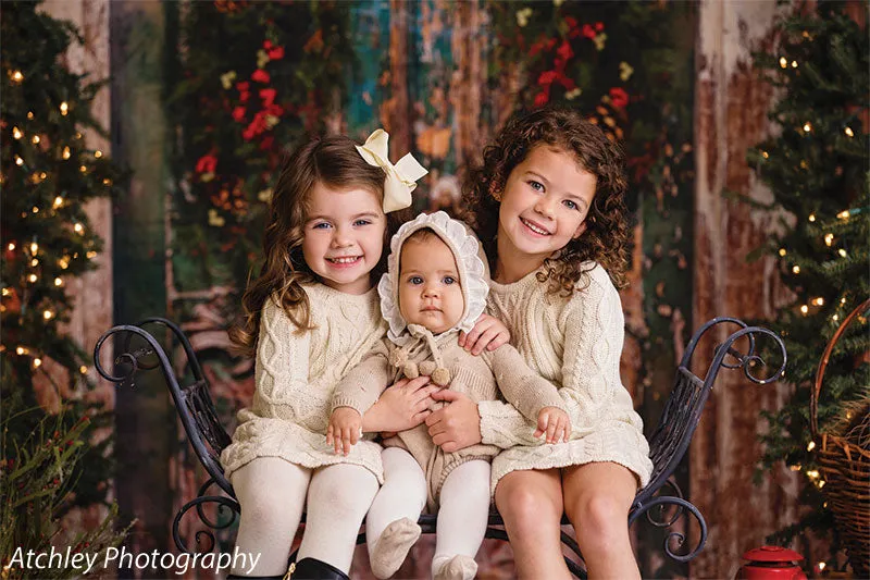 Holiday Door Photography Backdrop