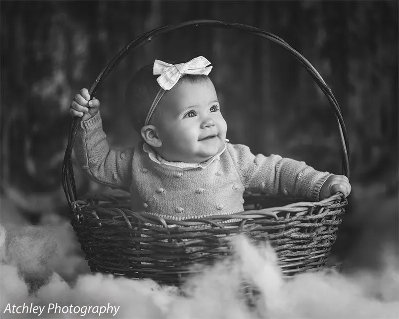 Holiday Door Photography Backdrop