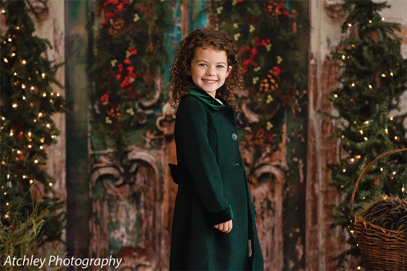 Holiday Door Photography Backdrop